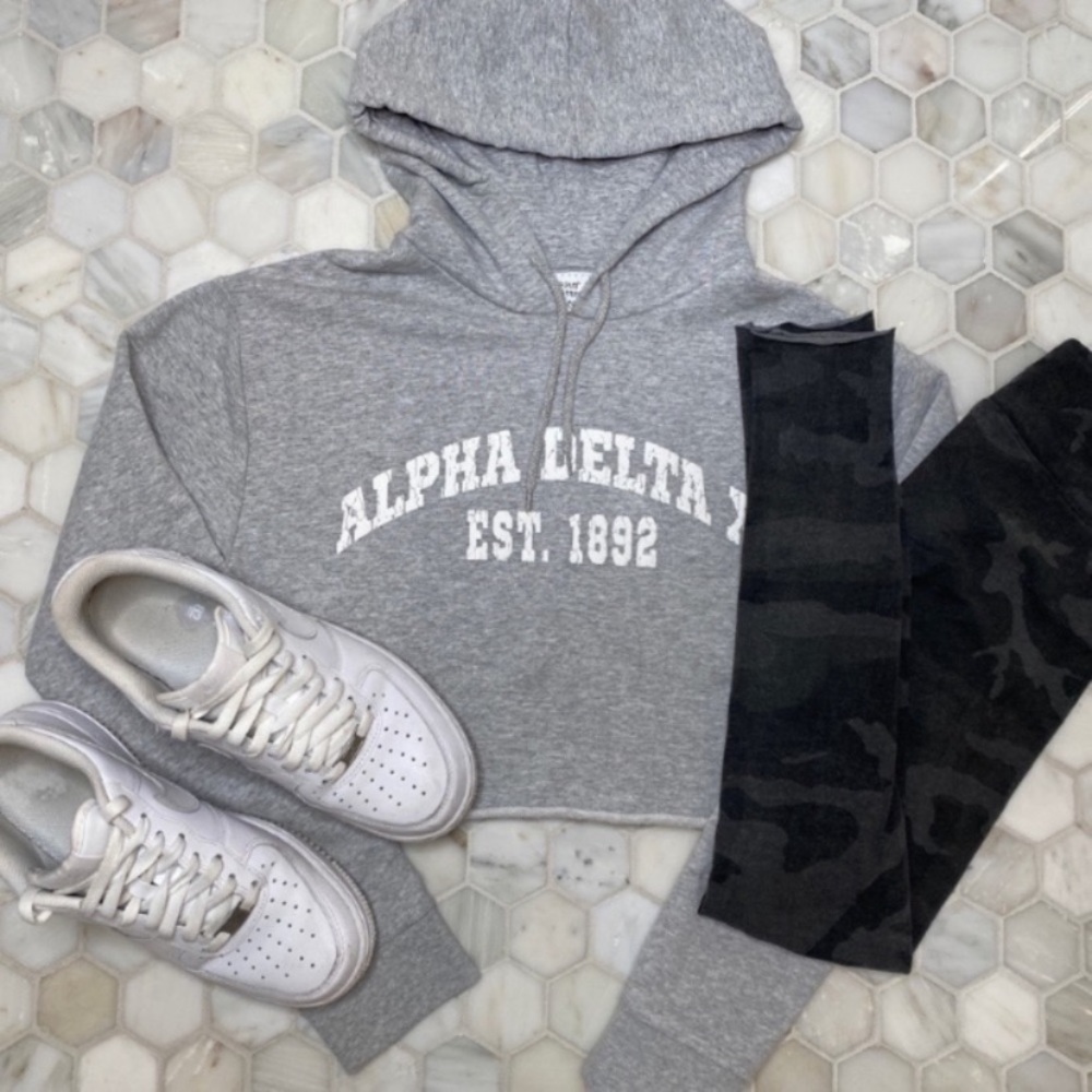 ⭐️2/$35⭐️ TopShop Alpha Delta Grey Cropped Hoodie Sweatshirt